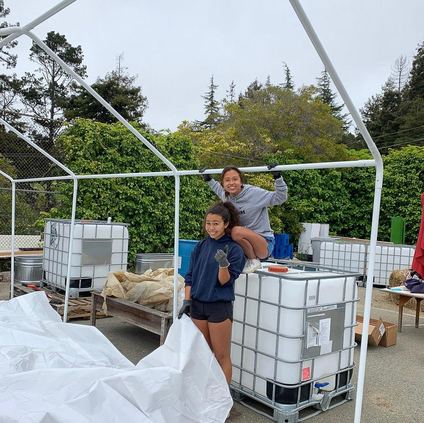Seniors Julia Chow and Serafina Carlucci work on their group aquaponics capstone project.