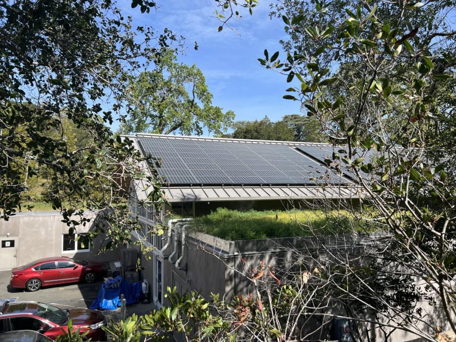 Solar+panels+atop+the+commons+on+March+14.+Planned+solar+and+environmental+projects+this+year+will+boost+Branson%E2%80%99s+commitment+to+sustainability%2C+school+leaders+say.+
