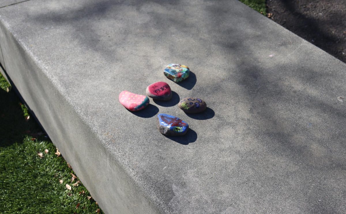 Affirmation rocks painted by senior advisories.