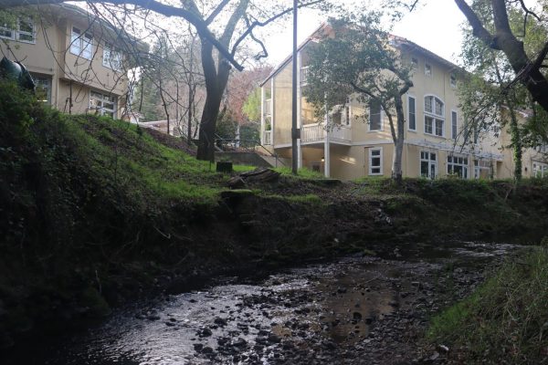 The Branson creek runs by the Tallant Science Center and Richardson Hall.